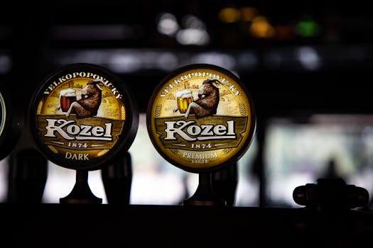 Domácí Výroba Českého Piva: Kompletní Průvodce K Vaření